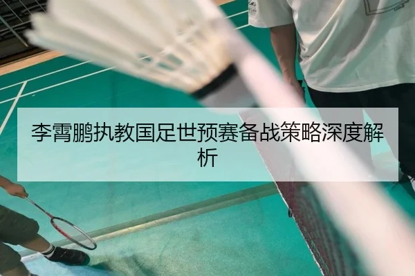 李霄鹏执教国足世预赛备战策略深度解析